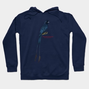 Greater Racket-tailed Drongo | Dicrurus paradiseus Hoodie